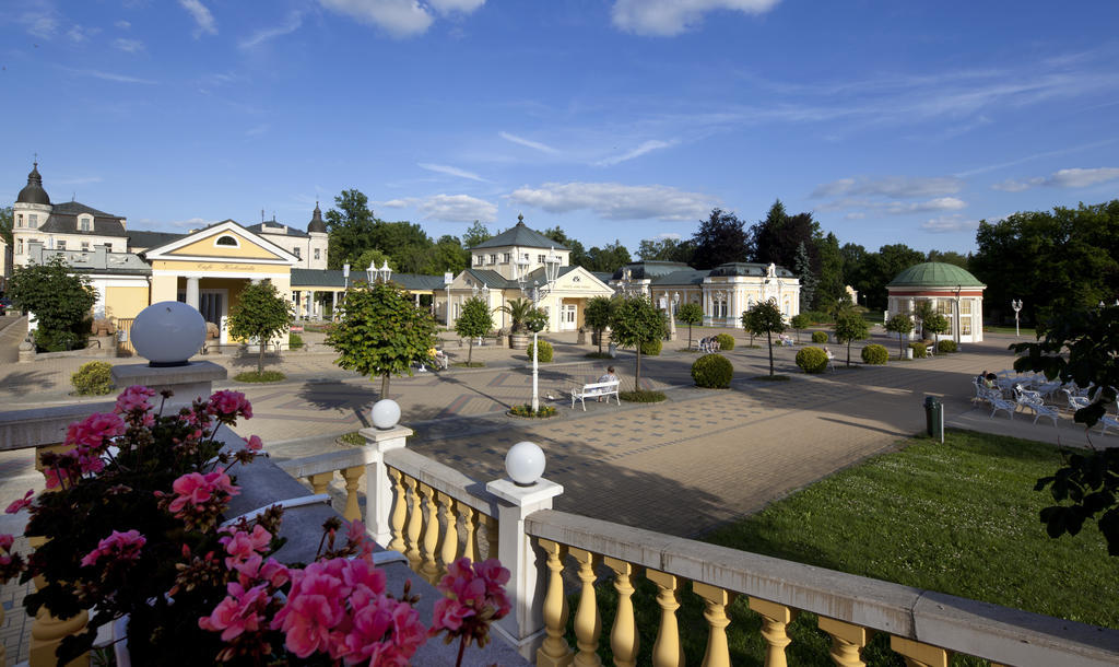 Dr. Adler Spa & Kurhotel Františkovy Lázně Exteriér fotografie