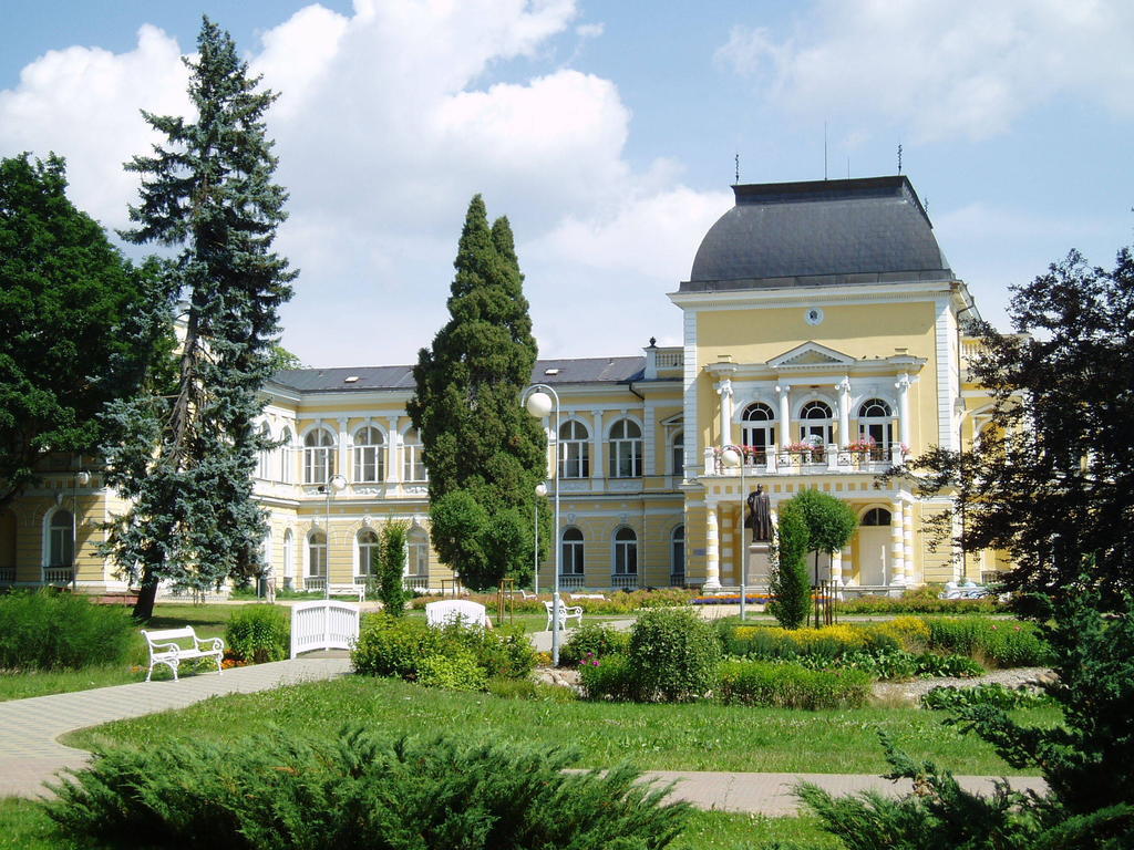 Dr. Adler Spa & Kurhotel Františkovy Lázně Exteriér fotografie
